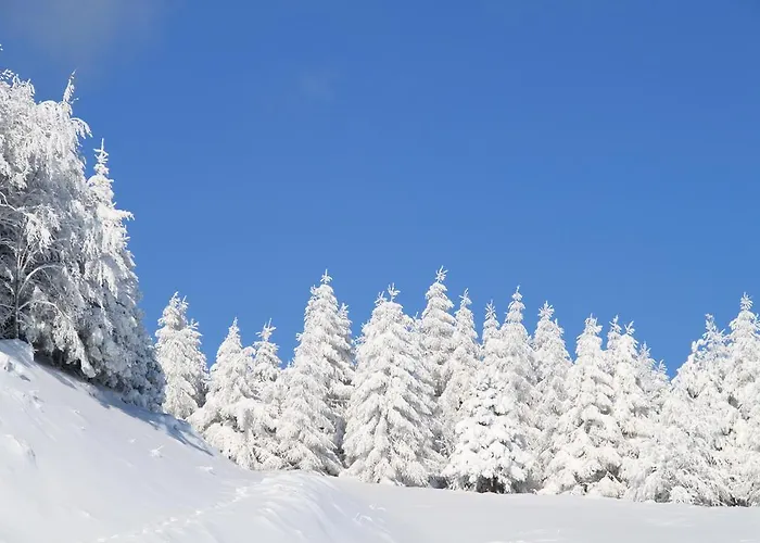 Hotel Gabriella Fanano