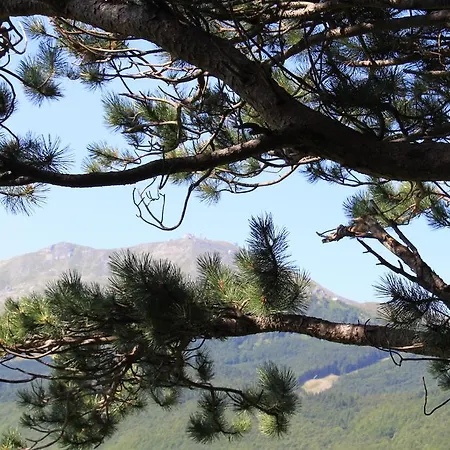 Gabriella פנאנו