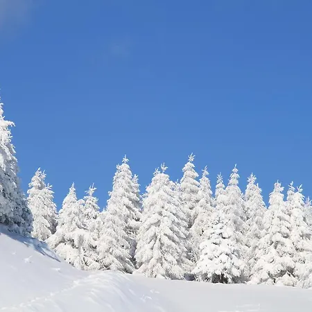 מלון Gabriella פנאנו